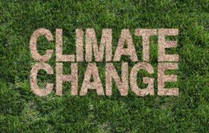 Grass with the words climate change