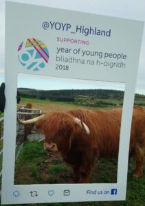 Highland Cow in a social media photo frame