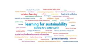 Collage of words relating to the term 'Learning for Sustainability'