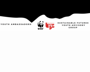 WWF-UK Opportunity- Sustainable Futures Youth Advisory Group